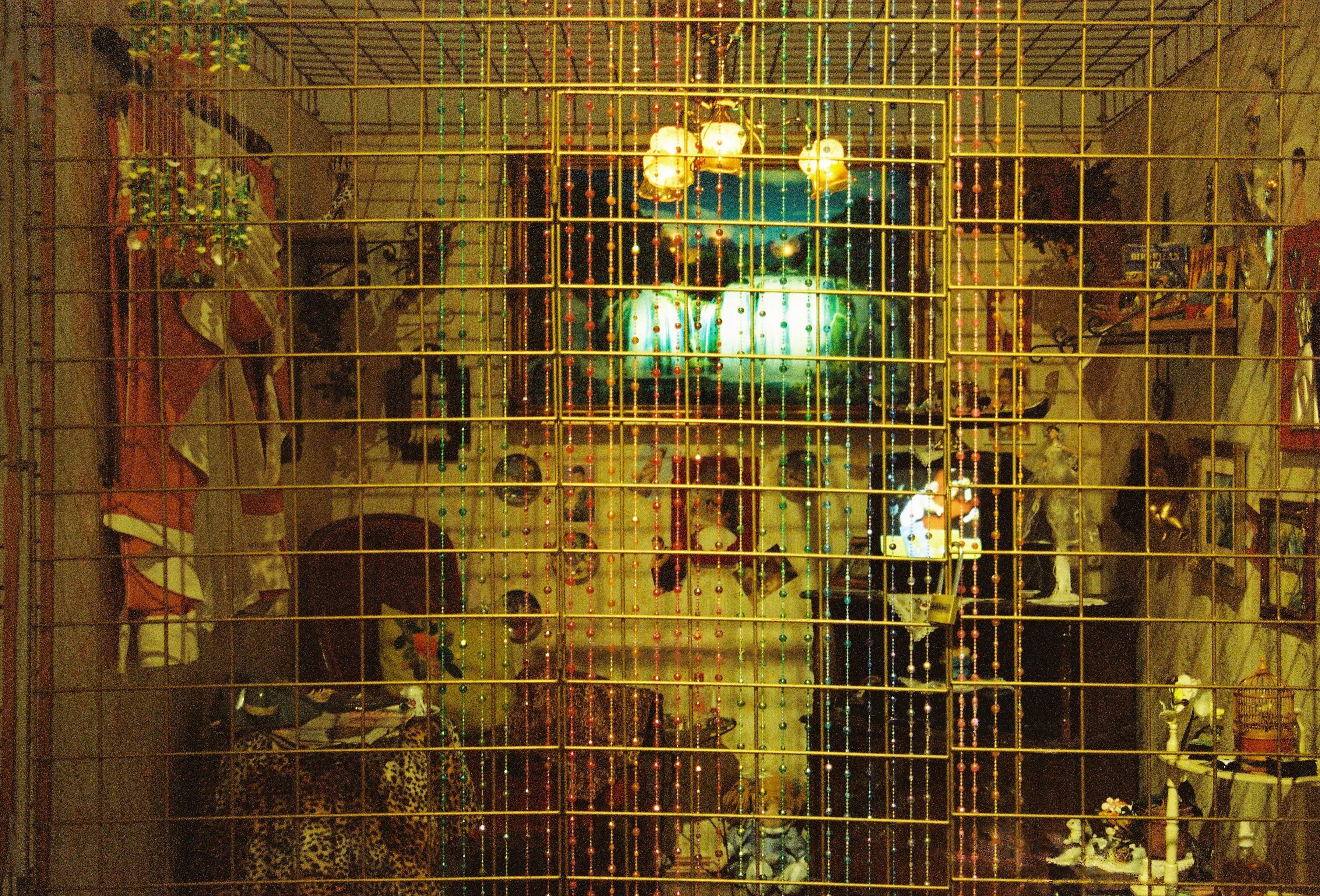 Image named: behind the cage