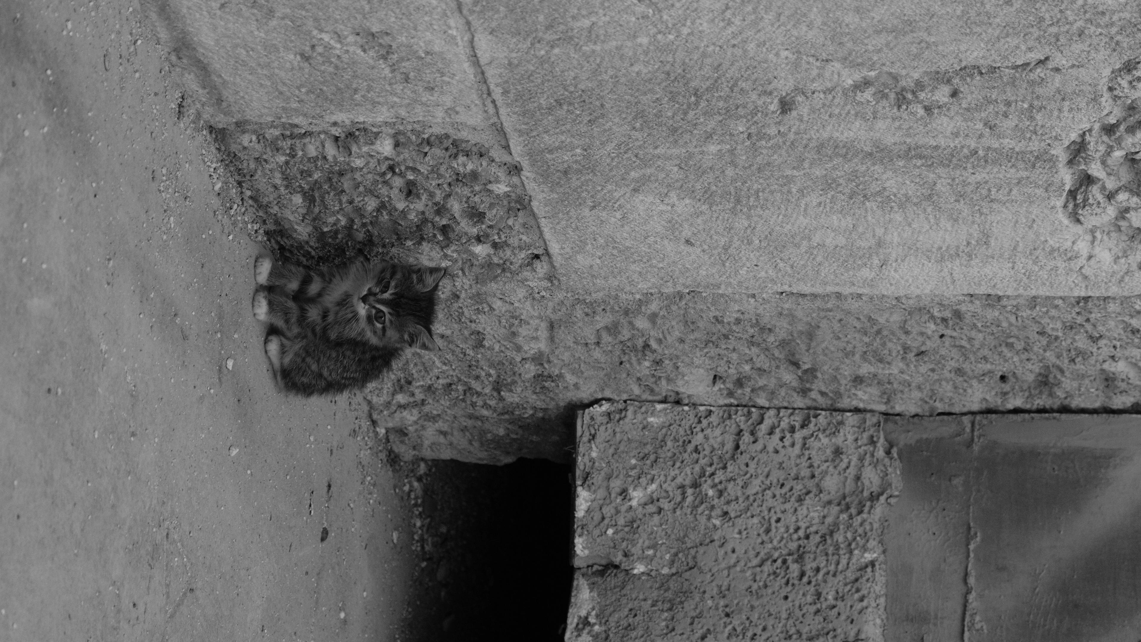 Image named: guardian angel of aspendos