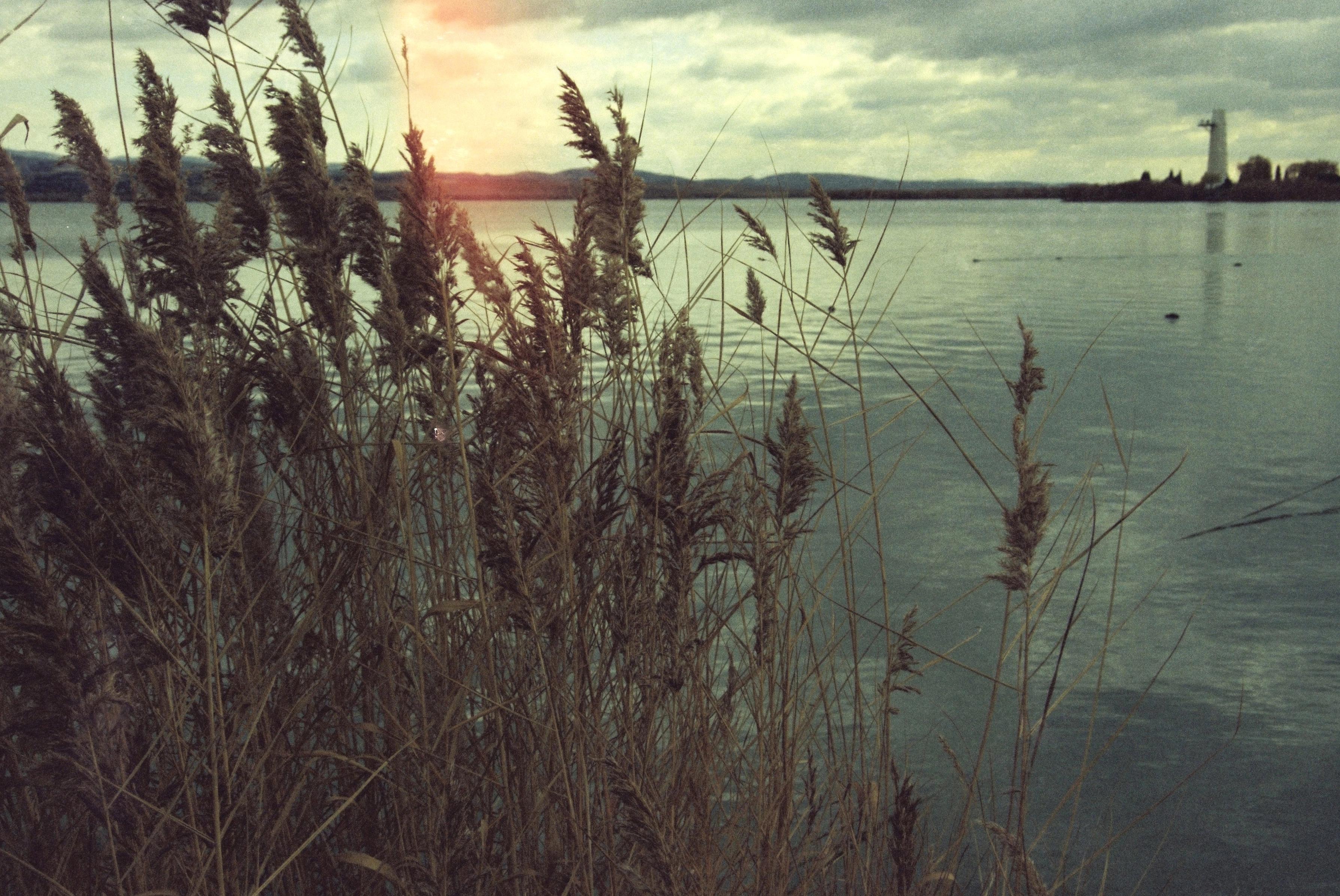Image named: light wind
