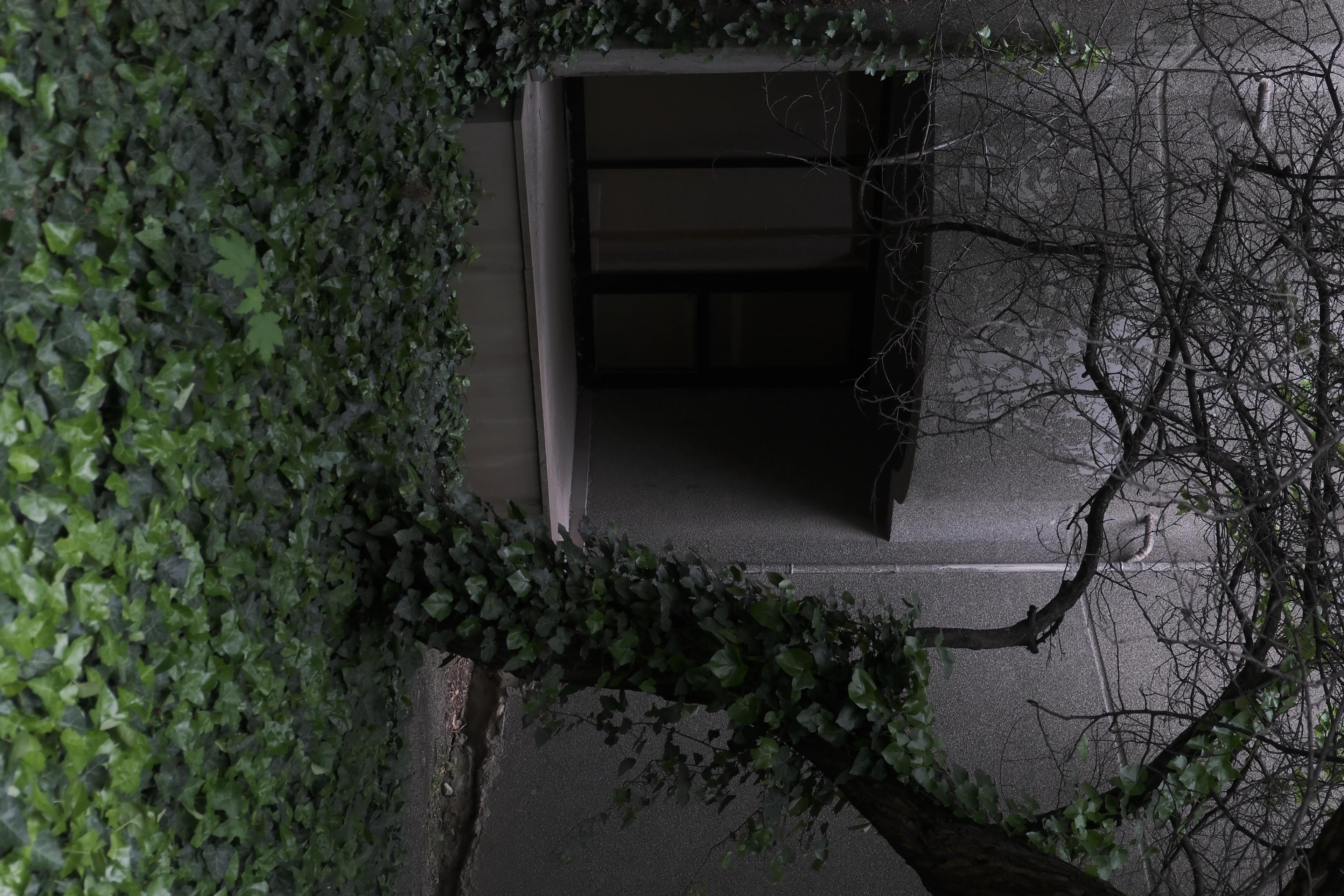 Image named: soul of the G building